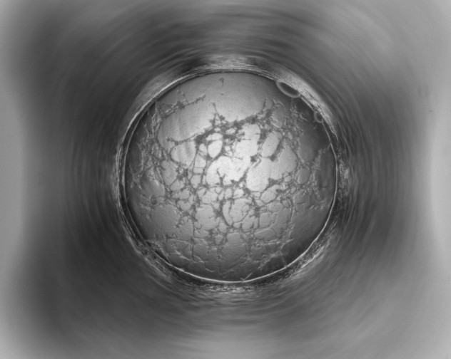 X0000093411002200710260934