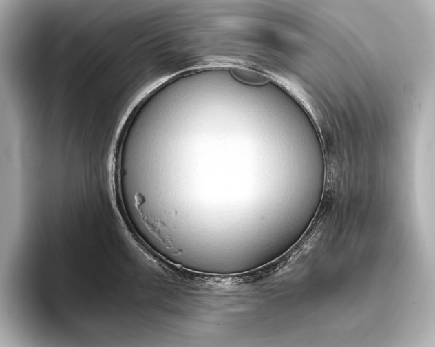 X0000093411003200710260934