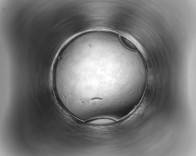 X0000093411004200710260934