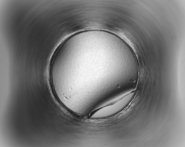 X0000093411005200710260934