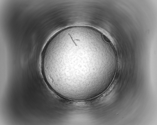 X0000093411006200710260934