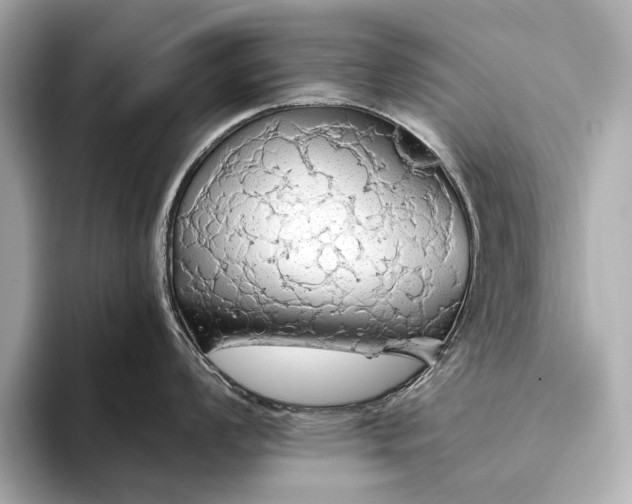 X0000093411008200710260934