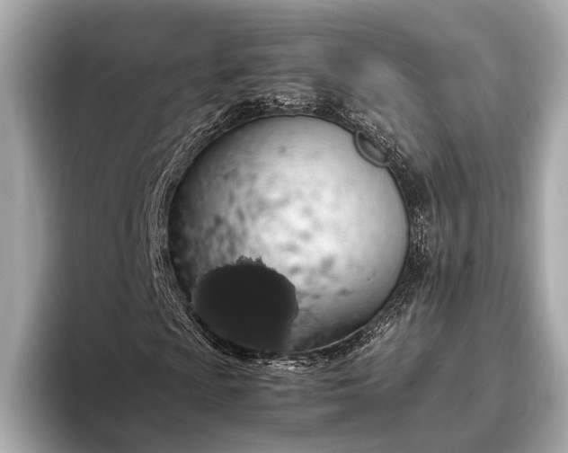 X0000093411009200710260933