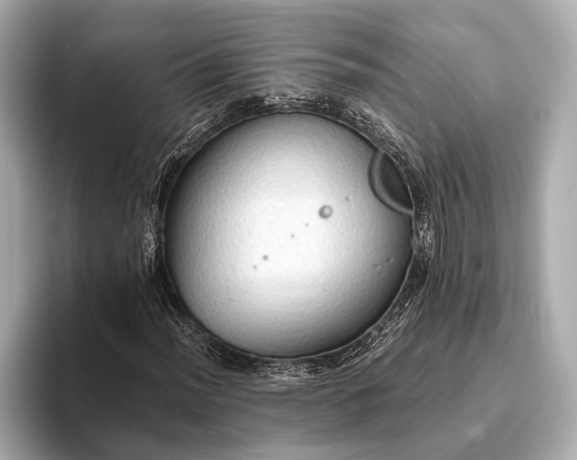 X0000093411012200710260933