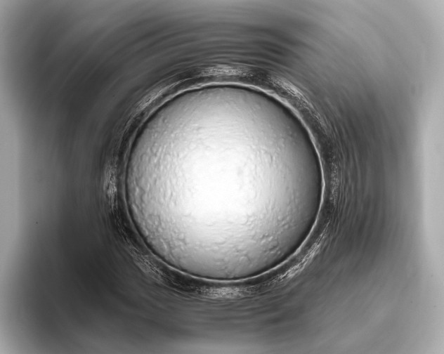 X0000093411017200710260933