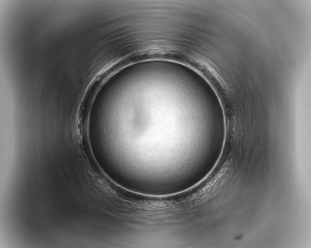 X0000093411018200710260933