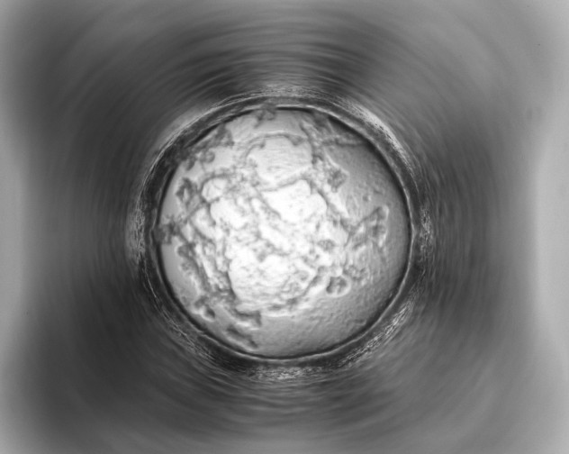 X0000093411019200710260933