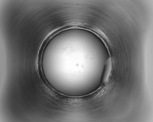 X0000093411020200710260933