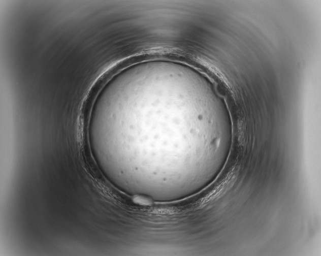 X0000093411021200710260933