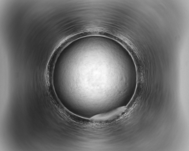 X0000093411022200710260933