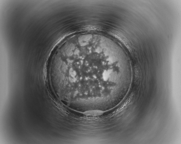 X0000093411023200710260933