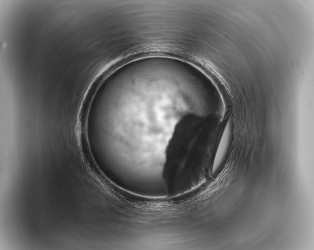 X0000093411024200710260933