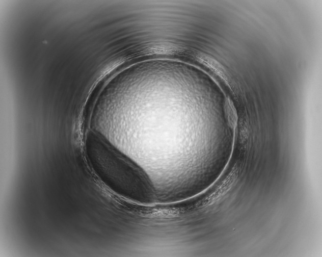 X0000093411026200710260933