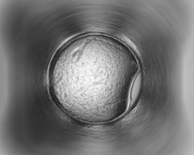 X0000093411028200710260933