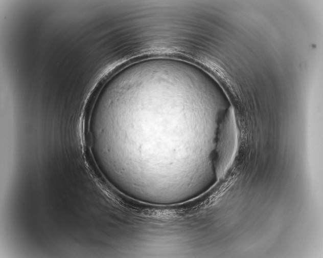 X0000093411030200710260933