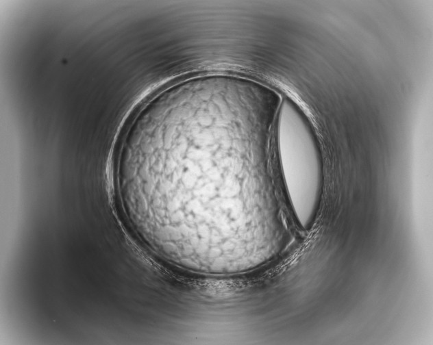 X0000093411032200710260933