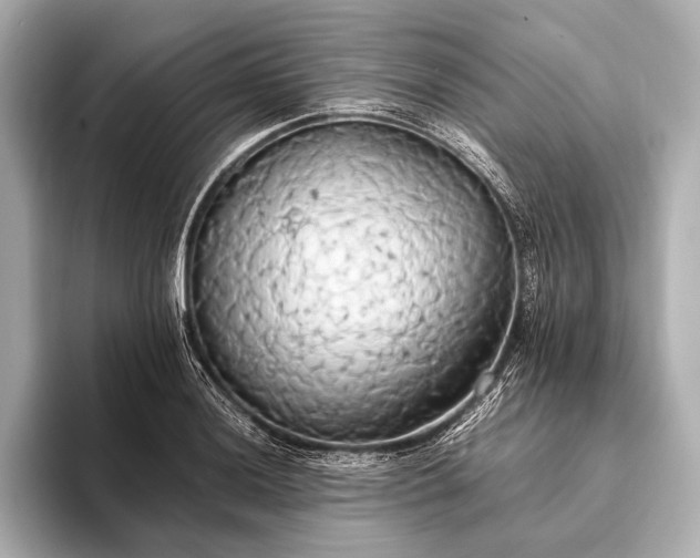 X0000093411036200710260933