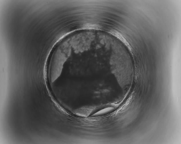 X0000093411037200710260933