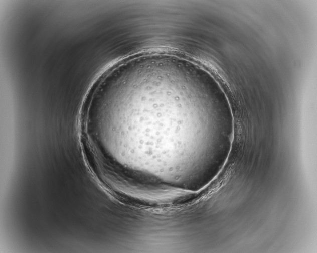 X0000093411038200710260933