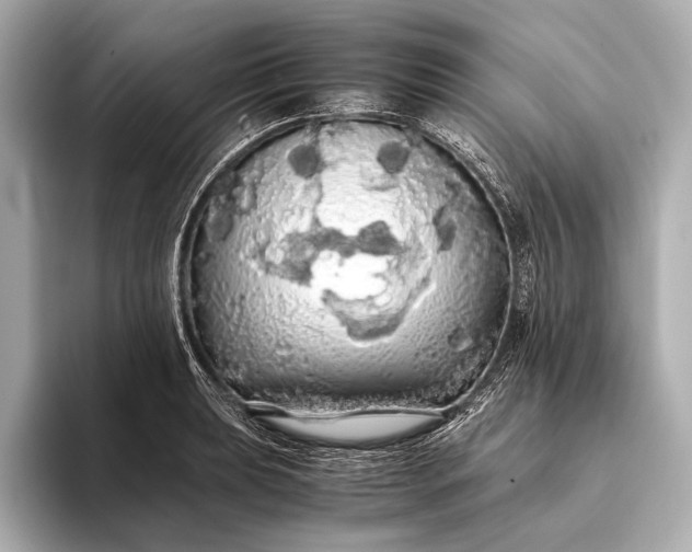 X0000093411039200710260933