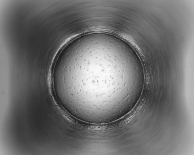 X0000093411040200710260933