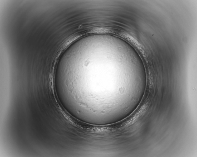 X0000093411041200710260933