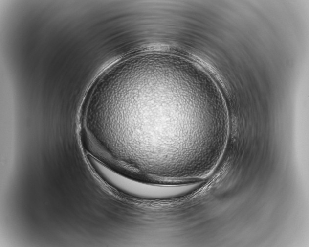 X0000093411042200710260933