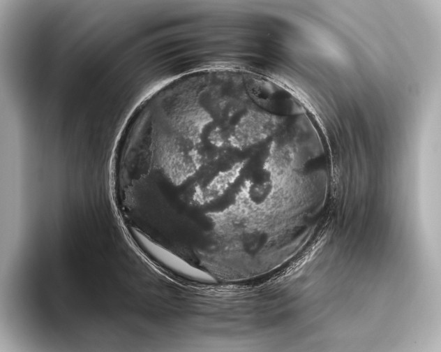 X0000093411045200710260934