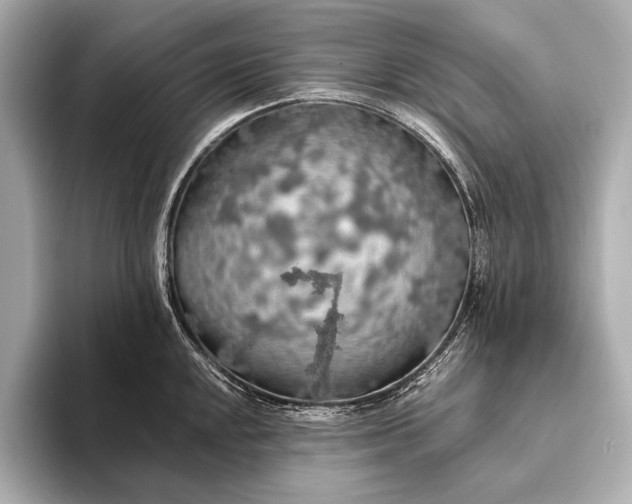 X0000093411048200710260934