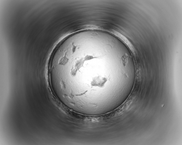 X0000093411051200710260934