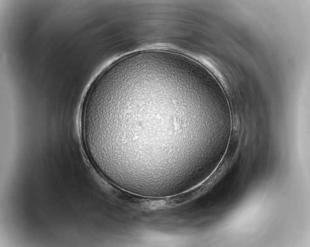 X0000093411054200710260934