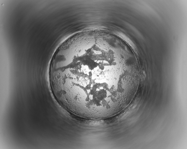 X0000093411055200710260934