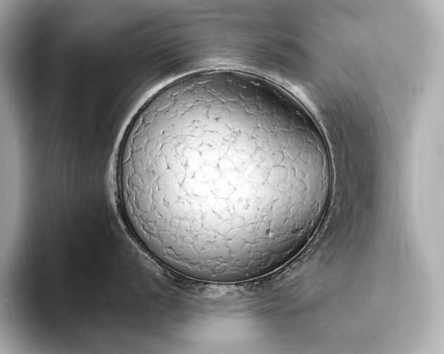 X0000093411056200710260934