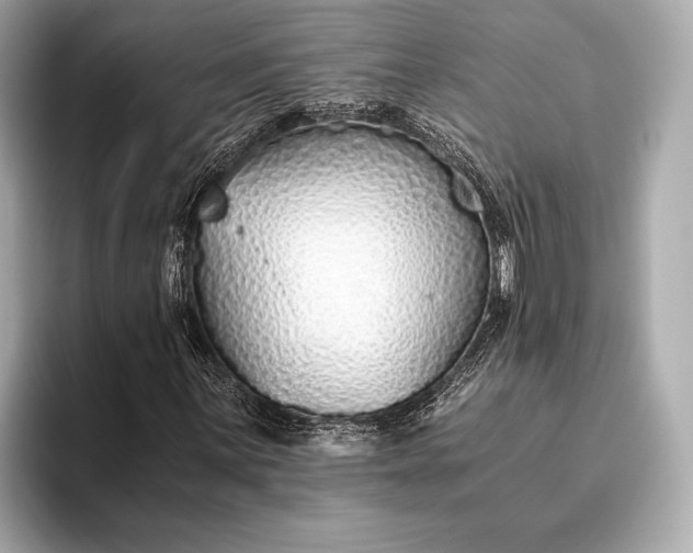 X0000093411059200710260933