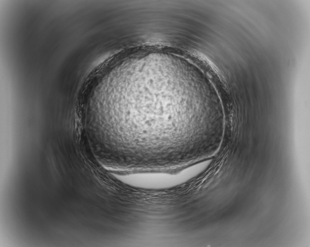 X0000093411064200710260933