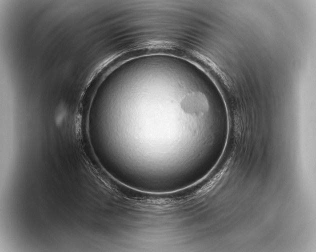 X0000093411066200710260933