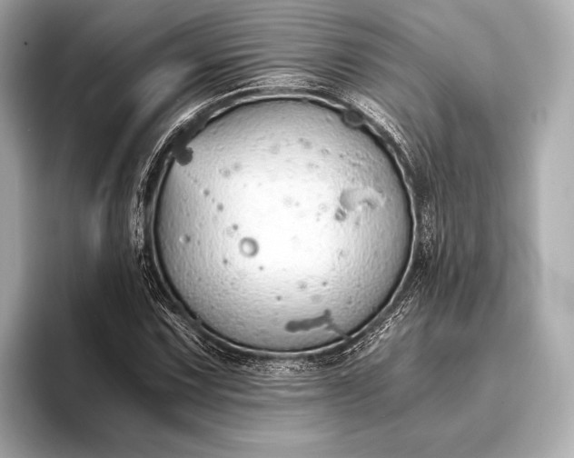 X0000093411067200710260933