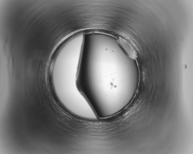 X0000093411069200710260933