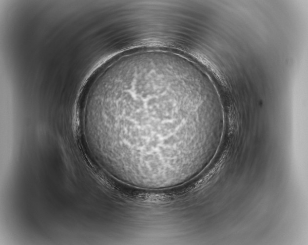 X0000093411070200710260933