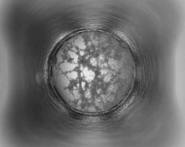 X0000093411071200710260933