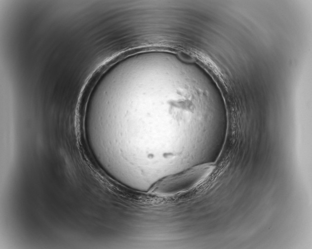 X0000093411072200710260933