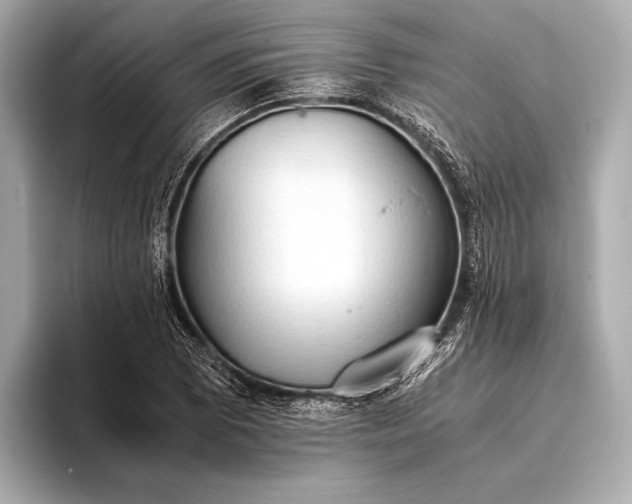 X0000093411073200710260933