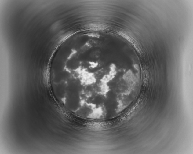 X0000093411074200710260933