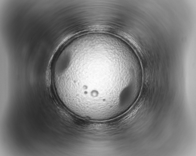 X0000093411075200710260933