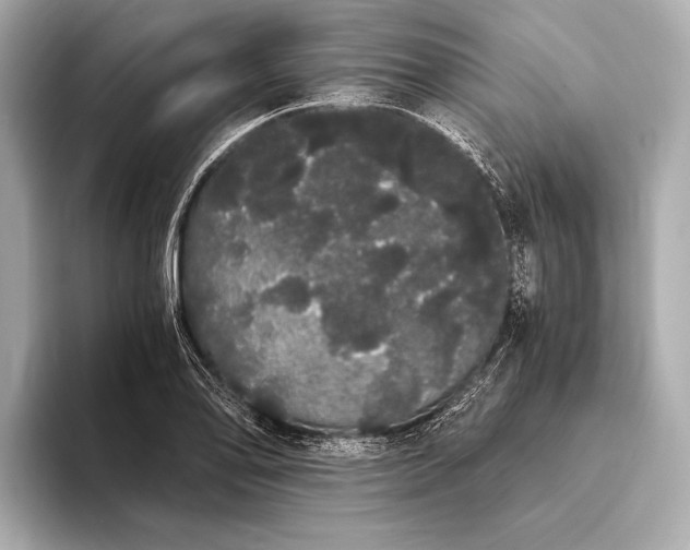 X0000093411078200710260933