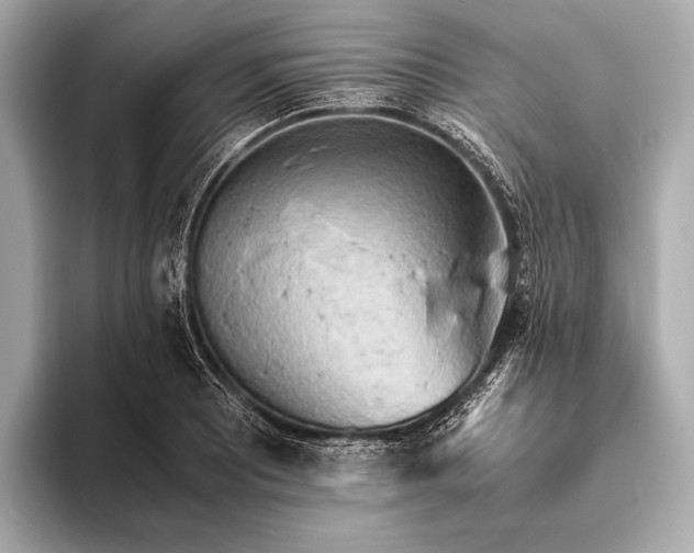 X0000093411081200710260933