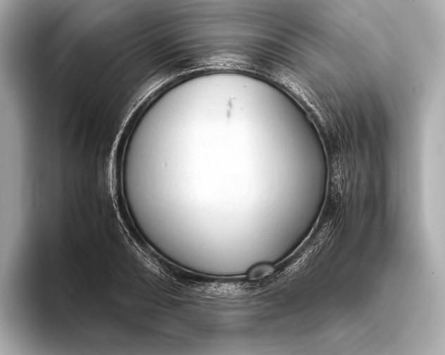 X0000093411082200710260933