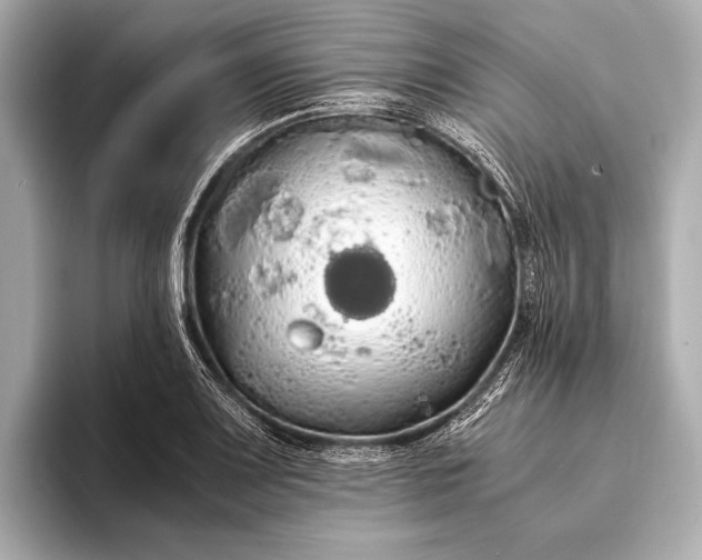 X0000093411083200710260933