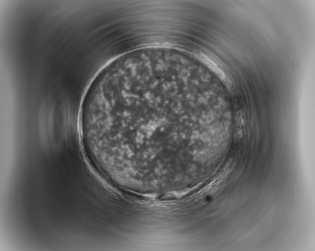 X0000093411084200710260933