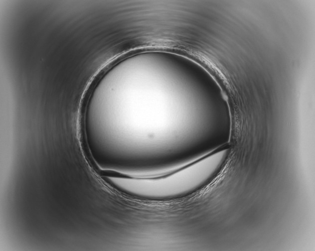 X0000093411085200710260933